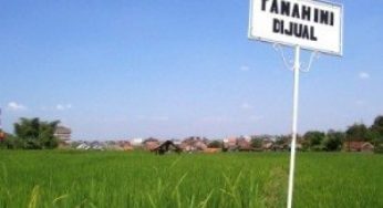 Surat Perjanjian Sewa Menyewa Tanah